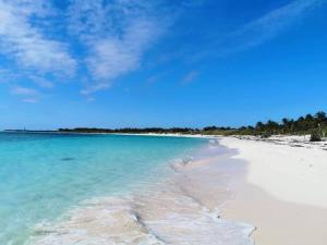 a beach with blue water and a blue sky at Little Oasis with private pool in the jungle in Chemuyil