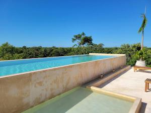 a swimming pool in the backyard of a house at Little Oasis with private pool in the jungle in Chemuyil