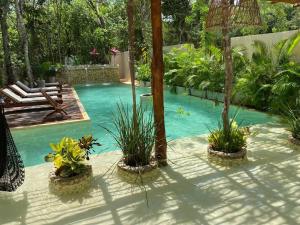 a swimming pool with some plants in a yard at Little Oasis with private pool in the jungle in Chemuyil