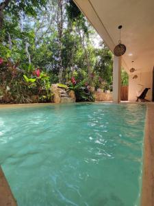 a swimming pool with blue water in a house at Little Oasis with private pool in the jungle in Chemuyil