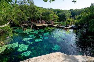 a pool of blue water with people in it at Little Oasis with private pool in the jungle in Chemuyil
