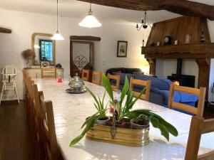 a dining room and living room with a table with plants at Chez Providence Chambres et Table d'Hôtes in Cuxac-Cabardès