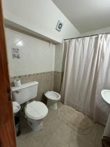 a bathroom with a toilet and a sink at Mirando al canal in Ushuaia