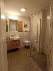 uma casa de banho com um WC, um lavatório e um chuveiro em Haus Wiesenquelle - Fewo 14 "Timeout", Feldberg em Feldberg
