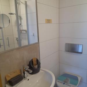 a bathroom with a sink and a toilet and a mirror at Bichlhof Bärfra Ferienwohnung Hunsrück in Morbach