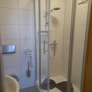 a shower with a glass door in a bathroom at Bichlhof Bärfra Ferienwohnung Hunsrück in Morbach