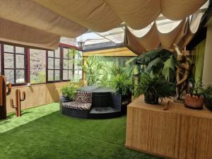 a living room with a couch and plants in it at La Bohemia in Mogán +7 photos