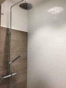 een douche met een glazen deur in de badkamer bij Ferienhaus Matz, Feldberg, Hochschwarzwald in Hinterfalkau