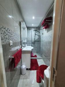 Studio Cosy moderne et climatisé في الرباط: حمام مع دش وسجادة حمراء