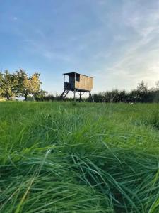 a box on a stand in a field of grass at Posed FOLGE in Děčín