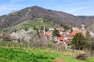 a village on a hill with a castle on top of it at Le Gîte de Sandra in Ribeauvillé