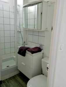 uma casa de banho branca com um WC e um chuveiro em Appartement proche de la plage - wifi, bien agencé em Asnelles
