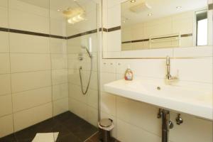 a bathroom with a shower and a sink and a mirror at Ferienwohnung Landleben im Dorfkrug Altglashütten- Feldberg in Feldberg