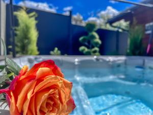 a red rose sitting on a table with a aquarium at Apartment Sova or Deluxe room 33 in Bled +34 photos