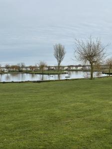 Phong cảnh thiên nhiên gần khu cắm trại