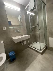 a bathroom with a shower and a sink and a toilet at HOTEL ZELENÝ DVOR in Senec