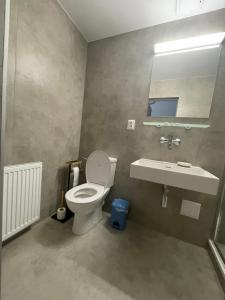 a bathroom with a toilet and a sink at HOTEL ZELENÝ DVOR in Senec