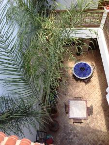 Giardino di Riad Thycas