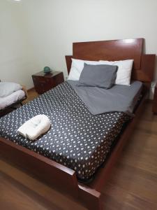 een bed met twee kussens in een kamer bij esthela home 2 in Funchal