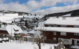 a town with snow covered roofs and buildings at Ferienwohnung Mara 01 im Haus Schwarzwaldmarille- Todtnauberg, Feldberg, in Todtnauberg