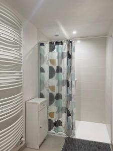 a bathroom with a shower with a shower curtain at Domaine du Mont des Chênes in Monthou-sur-Cher +11 photos