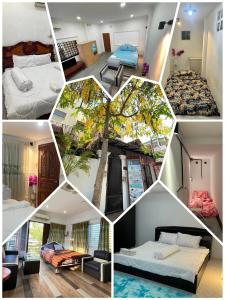 un collage de fotos de una habitación de hotel en Cassiarata en Phnom Penh