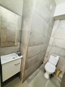 a bathroom with a toilet and a sink at Milescu Residence in Chişinău +6 photos