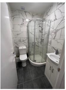 a bathroom with a shower and a toilet and a sink at Central locations 1 bed apartments sleeps 4 in London