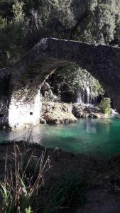 een oude stenen brug over een rivier met groen water bij Chez Dom & Albert in Saint-Cézaire-sur-Siagne