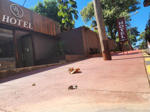 a cat laying on the sidewalk in front of a hotel at HOTEL BL in Puerto Iguazú