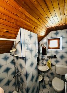 a bathroom with a sink and a toilet at Apartma Lip in Rateče +59 photos
