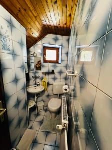 a small bathroom with a toilet and a sink at Apartma Lip in Rateče