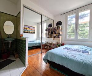 a bedroom with a large bed and a mirror at Appartement spacieux et confortable in Valence