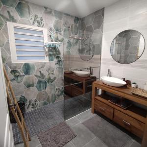 a bathroom with a sink and a mirror at La villa de la Rivière du mât in Saint-André
