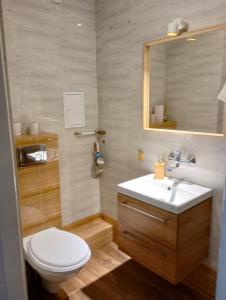 a bathroom with a toilet and a sink and a mirror at Apartament koło Zamku in Malbork