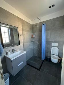 a bathroom with a shower and a sink and a toilet at Villa Morina in Tropojë