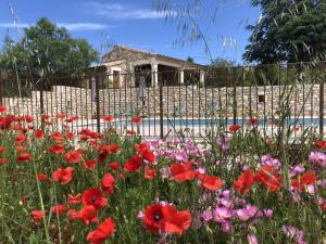 a field of flowers in front of a fence at Chambre d'hôtes Lavande- A l'Ombre des Tilleuls in Lagorce