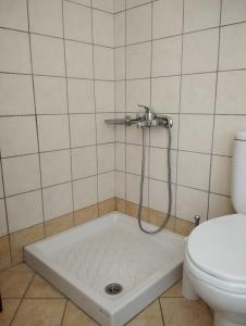 a shower in a bathroom with a toilet at LEONIDAS in Káto Vasilikí