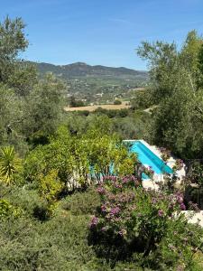 Bazén v ubytovaní El Toro Blanco Luxury Villa in Andalucia alebo v jeho blízkosti