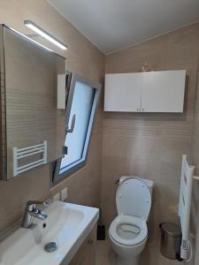 bagno con servizi igienici, lavandino e specchio di Chambre indépendante climatisée, terrasse 100M2 et salle d'eau a Saint-Cyr-sur-Mer
