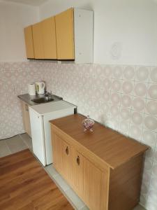 a small kitchen with a counter and a sink at Aki in Drvar