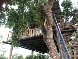 a tree house in the middle of a tree at Eagle Eye Yala in Yala