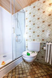 a bathroom with a toilet and a shower at Pension Karner in Mittenwald