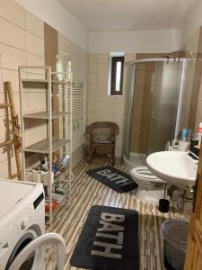 フジェンスコにあるhřensko 114のバスルーム(洗面台、トイレ、シャワー付)