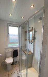 uma casa de banho com um WC e uma cabina de duche em vidro. em Modern Quiet City Center Airport 2 Bedroom Apartment em Edinburgo