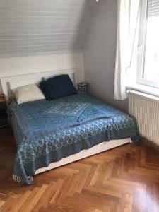 Szalonka apartman 2011 Budakalász, 10 Szalonka utca kép - 2