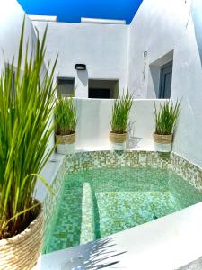 een zwembad aan de zijkant van een huis met planten bij Margaret of Naxos in Agios Prokopios