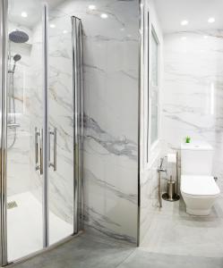 a bathroom with a shower and a toilet at Encantador Apartamento con Wifi en Sestao in Sestao