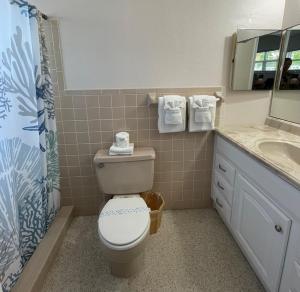 a bathroom with a toilet and a sink at 763 North Shore Downstairs Apts in Anna Maria