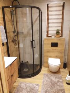 La salle de bains est pourvue d'une douche et de toilettes. dans l'établissement Domek Z Widokiem Szaflary, à Szaflary